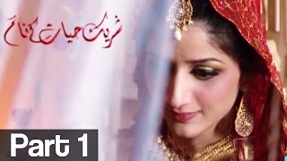 Shareek e Hayyat kay Naam Part 1 | ATV