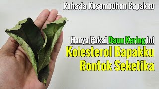 BIKIN GEGER... KOLESTEROL TURUN DRASTIS TANPA MENGGUNAKAN OBAT DOKTER