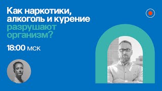 Как наркотики, алкоголь и курение разрушают организм? / Алексей Утин в Рубке ПостНауки