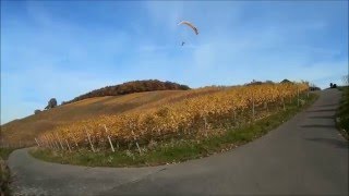 Free V2 vs Hybrid 1.8