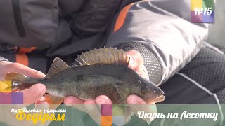 Очень тонкий лед. Поклевки окуня на Лесотку [Рыбалка с Дядей Федором №15]