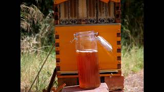 Timelapse Harvesting Honey From Our Flowhive