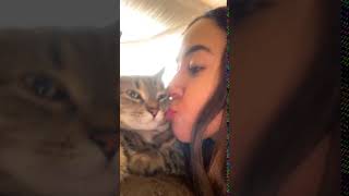 Kiss or slap challenge with cat, cat licks owners face.
