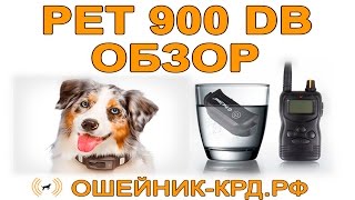 Обзор электронного ошейника PET 900 DB
