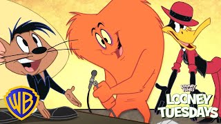 Looney Tunes en Latino | Looney Talent ???? | @WBKidsLatino