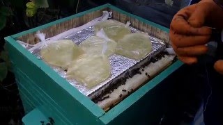 Сахарный сироп для закормки пчёл на зиму\Sugar syrup to bees in the winter zakormki