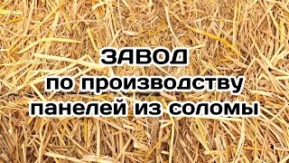 Завод по производству плит из соломы. СтраМит. Единово.