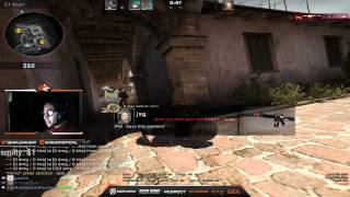 shahzam pug with binnie and friends