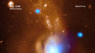 Chandra Podcast: Medusa in 60 Seconds (HD)
