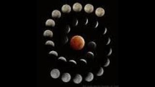 LIVE / DAILY  GENERAL AND 7/27-28  BLOOD MOON TALK/4 ELEMENTS 1 CARD EA.