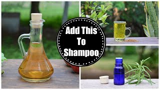 Add This "ONE" Ingredient To Your Shampoo & Watch Hair Grow & Scalp Problems Disappear !!!