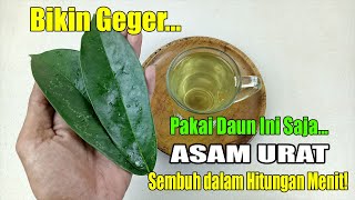 AKHIRNYA TERKUAK... CUMA PAKAI BEBERAPA LEMBAR SAJA, ASAM URAT LENYAP