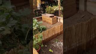 Terrario delle tartarughe di terra