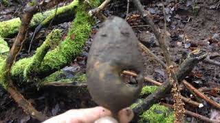 Коп по войне.3имы нет,копаем хабар!!!WWII Metal Detecting.