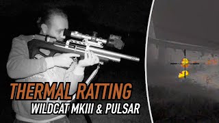 Thermal Hunting is Next Level! | Ratting with the Pulsar Thermion 2 XP50 LRF