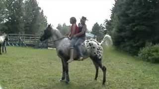 Fancy-Molly-Guylaine (Camping chez son Père) juillet 08