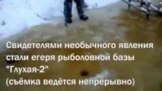 Зимняя рыбалка на тягу. Прёт из лунки как из пулемета?