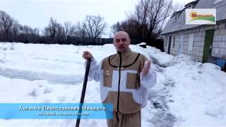Выставляем  Пчелы под снегом