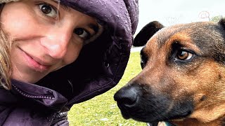 Lonely street dog gets a second chance at life
