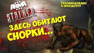 Собираем хабар - совместный стрим с ForestDUMP (ArmSTALKER RP-Сервер)
