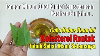 SEMUA TERKEJUT... KOLESTEROL TINGGI TERNYATA BISA DITURUNKAN DENGAN DAUN-DAUNAN INI