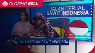 Jalan Terjal Sawit Indonesia