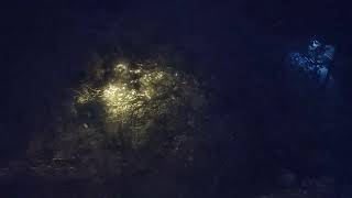 ЗАПОРОЖЬЕ НЕОЖИДАННО ВСЕ ТАКИ 19.11.23