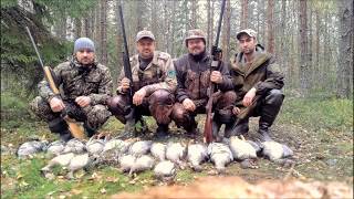 Охота на гуся  Осень 2017