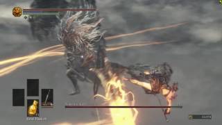[Dark Souls 3] Heavy Broadsword +10 vs Nameless King (Lv78, 50 Str)
