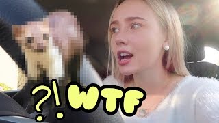 ERSCHROCKEN DES TODES ?? | Nicole Sto
