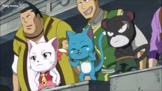 Fairy Tail AMV - Rise