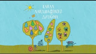 50 оттенков зеленого (серия 2) Ель Glauca Globosa