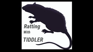 Hw 100 kt .177 ratting + ferel pigeons