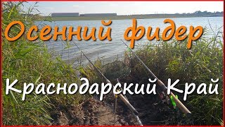 Ловля карася на фидер в октябре