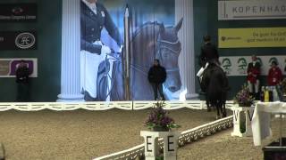 tailormade attention silje bakke