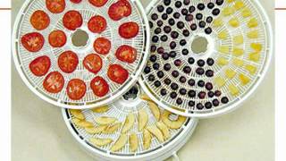 Drying Food - The Basics
