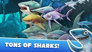 Прохождение Hungry Shark World - ЕЖЕДНЕВНОЕ СОСТЯЗАНИЕ