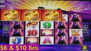 Buffalo Slot Machine Bonus ★BIG WIN★ & HUGE LINE ! Live Aristocrat Slot Play w/Big Win