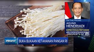 Kementan Pastikan Jamur Enoki Asal Korsel Sudah Dimusnahkan