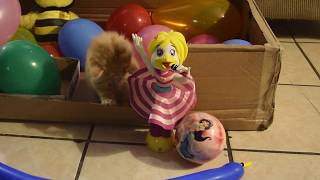 KittyJoyJoy - Kittens Looner Latex Balloon Popping Fetish Funny Cat Videos