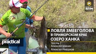 Ловля змееголова в Приморском крае. Озеро Ханка. Алексей Шанин, Алексей Ивашков 1 часть