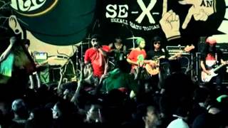 RUMPUT LAUT- JUST FOR YOU