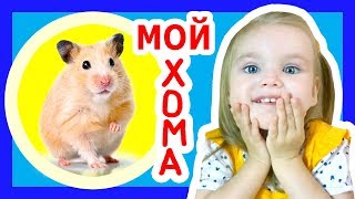 Мой питомец // Детские игры с хомяком // Хомячок в шаре // Игрушка мышка как живая