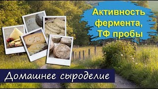 Домашнее Сыроделие. Проба на активность фермента. Точка Флокуляции пробы