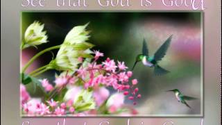 Free Screensaver - Hummingbirds