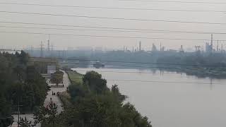 ☢?Химическая травля Москва-Братеево-Марьино. SOS !!! Остановите КАПОТНЮ!