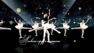 Sengur Beer Brand Ballet Сэнгүр брэнд балет