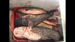 Рынок. Приморско-Ахтарск. Часть 1