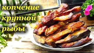 Копчение крупной рыбы. Толстолобик 9 кг