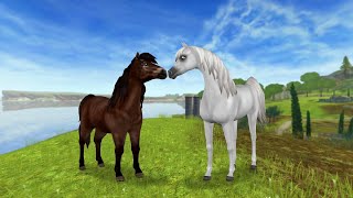 STAR STABLE ONLINE/ОБЗОР ЛОШАДЕЙ????